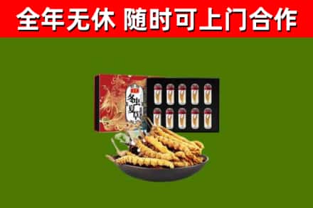 邯山区回收冬虫夏草价格