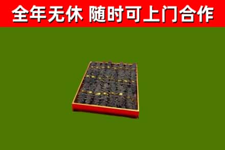 邯山区回收海参